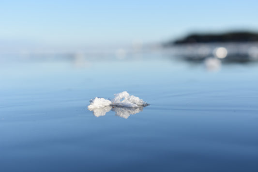 Snöflinga